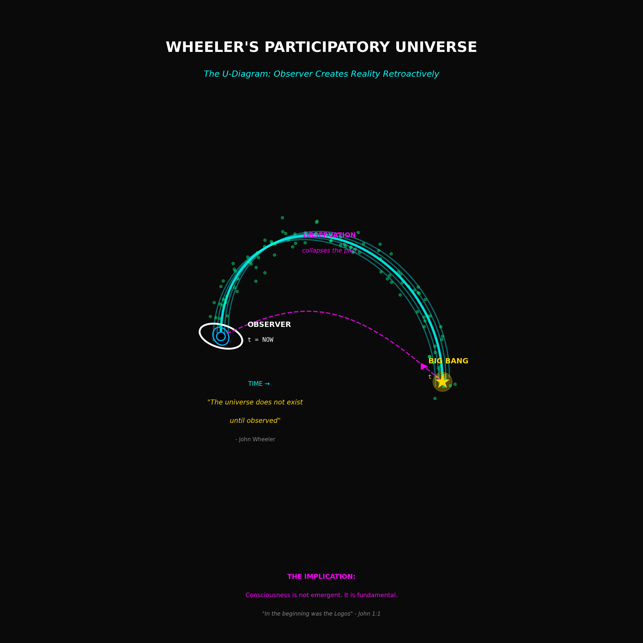 Wheeler's U-Diagram — the observer creates reality retroactively